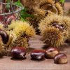 Castanea sativa x mollissima Bouche de Betizac - Ehető gesztenye