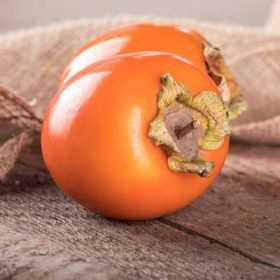 Diospyros kaki - Datolyaszilva, hurma 24 cm