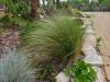 Stipa tenuissima 12cs - Árvalányhaj
