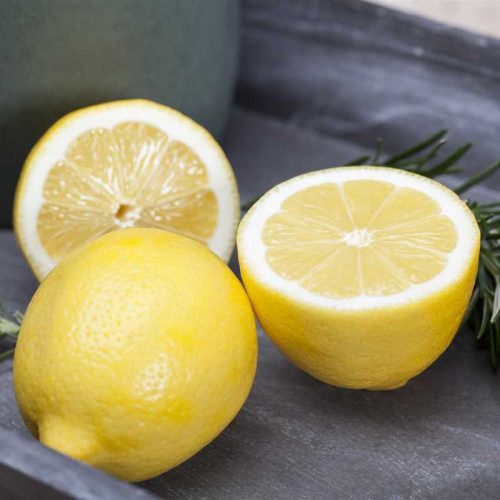 Citrus limon Carrubaro K18cm MT - Folytontermő citrom