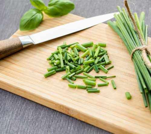 Allium schoenoprasum - Metélőhagyma 14 cm