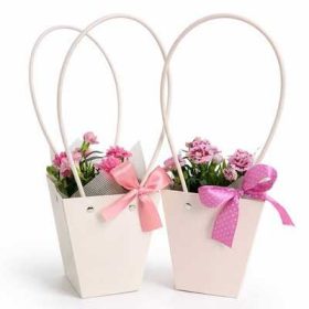 Dianthus mix 9 cs - Szegfű virág táskában