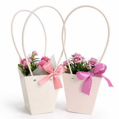 Dianthus mix 9 cs - Szegfű virág táskában