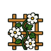 Kúszó- és futó növények