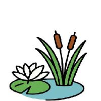 Vizi- és mocsári növények